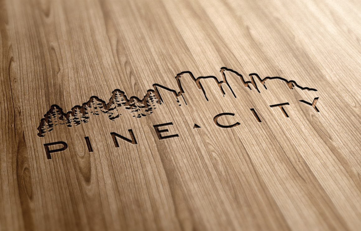 Pine City furniture showroom interior